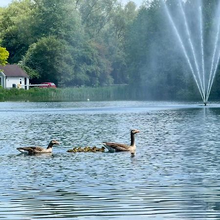 סירנססטר Luxury Kingfisher Lodge, Isis Lake, Within The Cotswold Waterpark מראה חיצוני תמונה