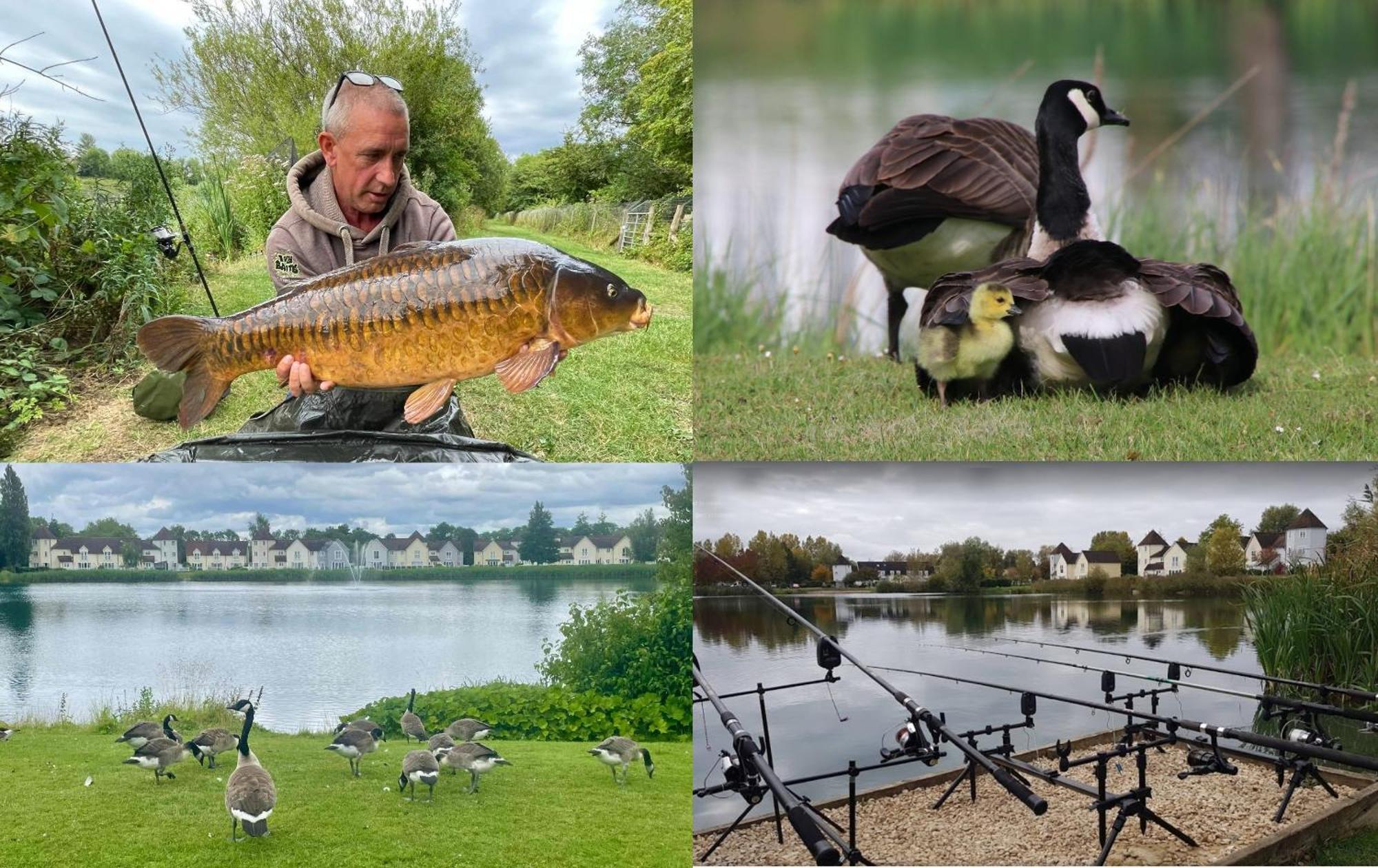סירנססטר Luxury Kingfisher Lodge, Isis Lake, Within The Cotswold Waterpark מראה חיצוני תמונה