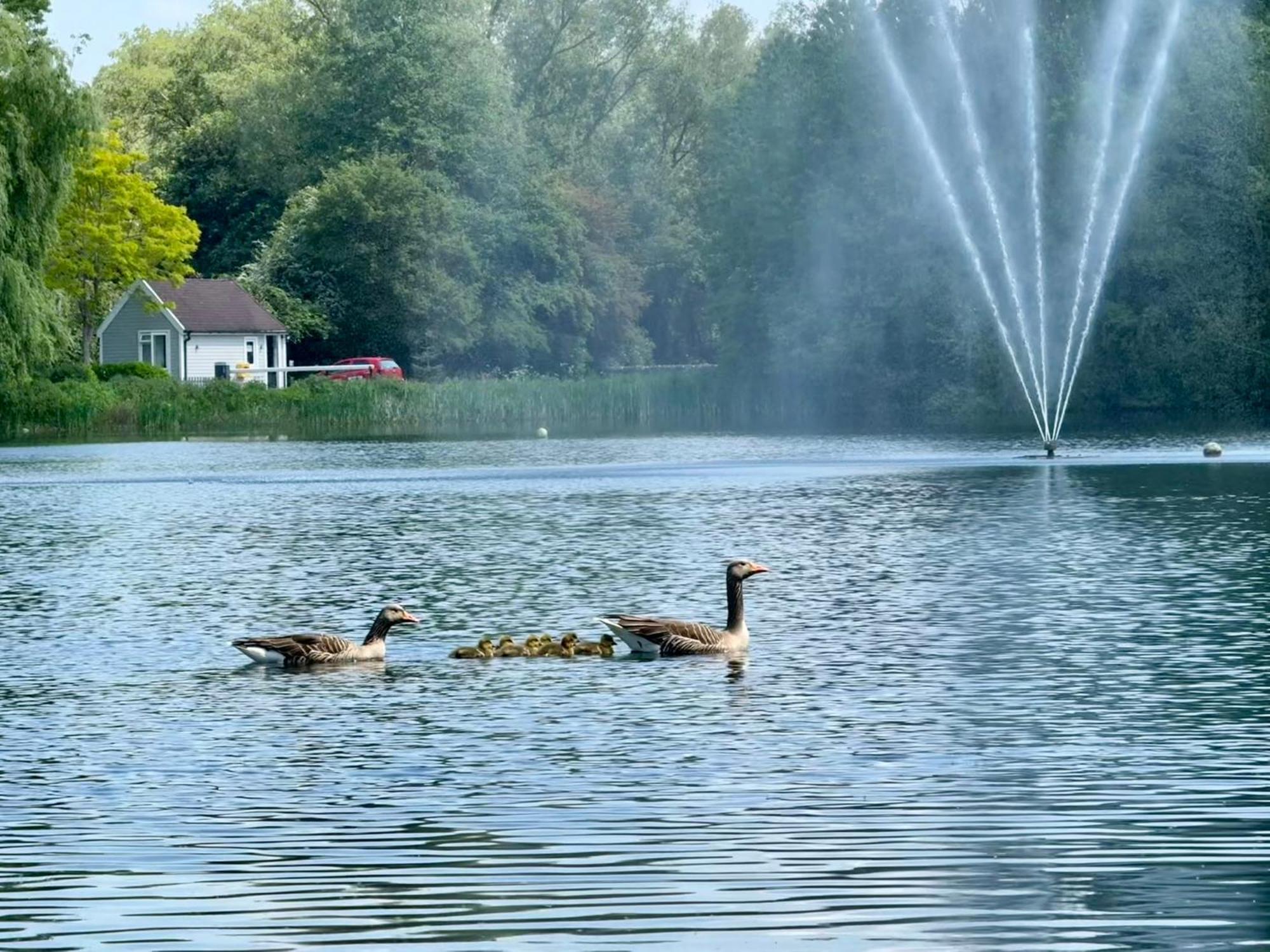 סירנססטר Luxury Kingfisher Lodge, Isis Lake, Within The Cotswold Waterpark מראה חיצוני תמונה